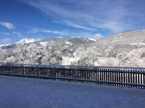 Ferienwohnungen Gritzner, Hermagor-Pressegger See, Österreich